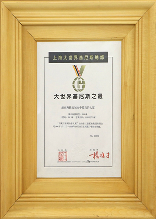 大世界基尼斯之最